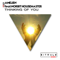 BTR079 : Amelien feat Norbit Housemaster - Thinking of You (Original Mix)