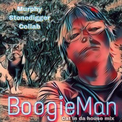 BoogieMan (murphy-stonedigger cat in da house mix)