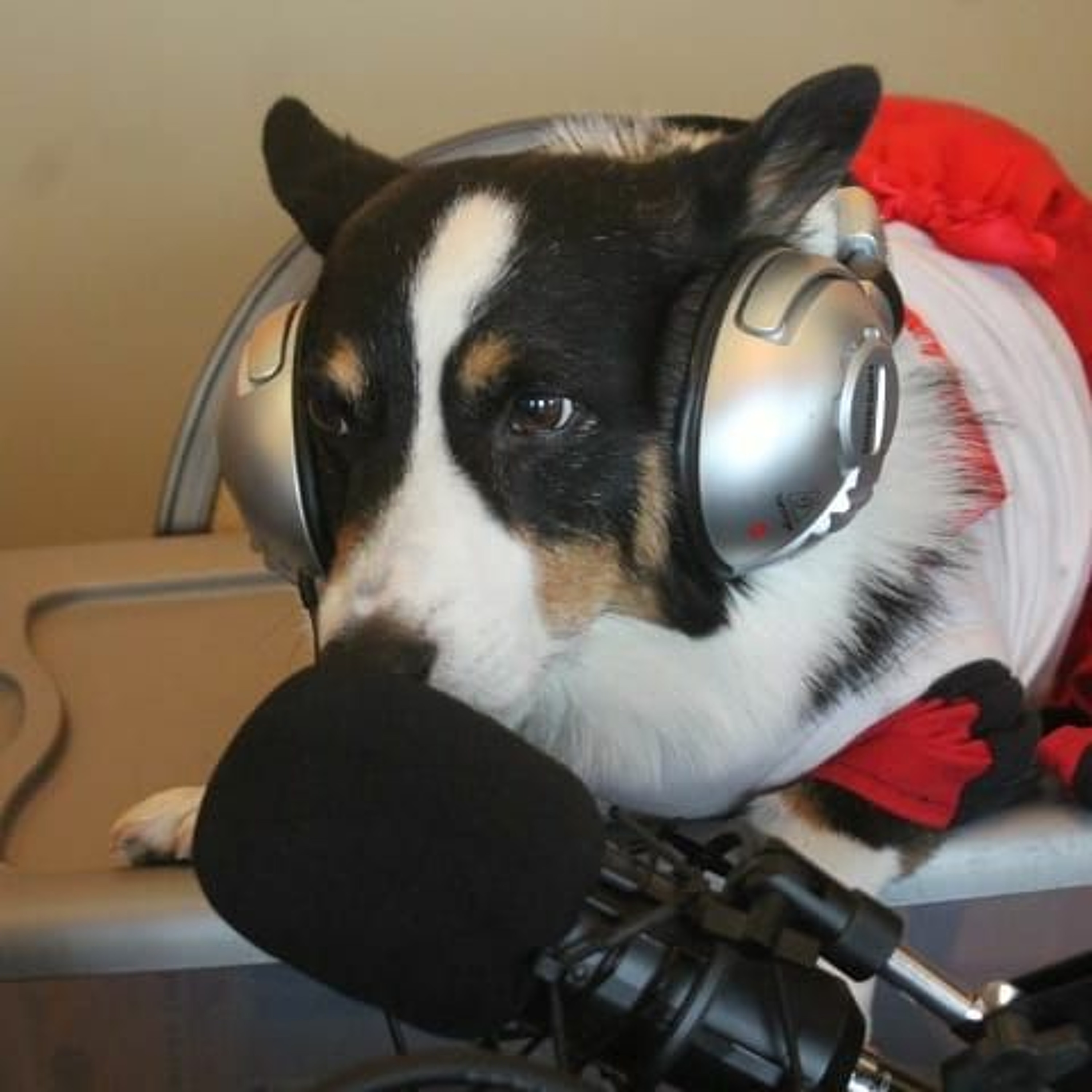 ConAirRadio