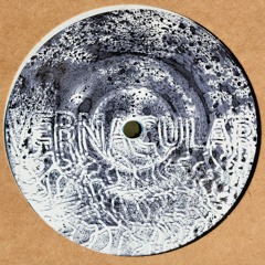 Premiere : Vernacular Orchestra - Thunderquest [Vernacular Records]