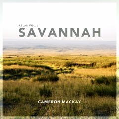 The Savannah
