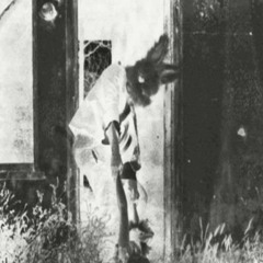 Luuli - Symphony for the Flawed