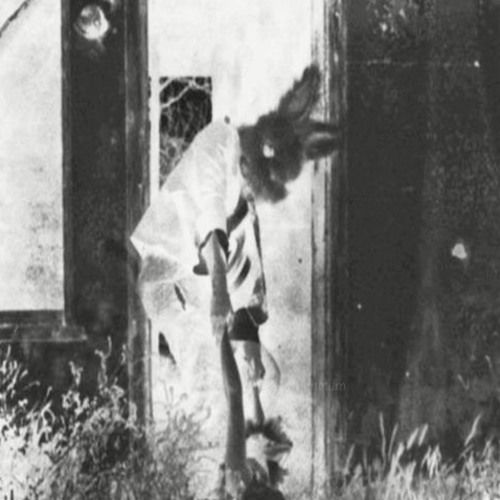 Luuli - Symphony for the Flawed