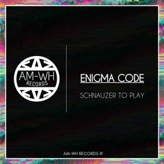 Enigma Code (Original Mix)