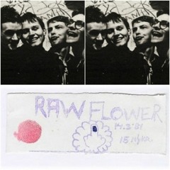 Purrkur Pillnikk á Raw Flower 14. mars 1981
