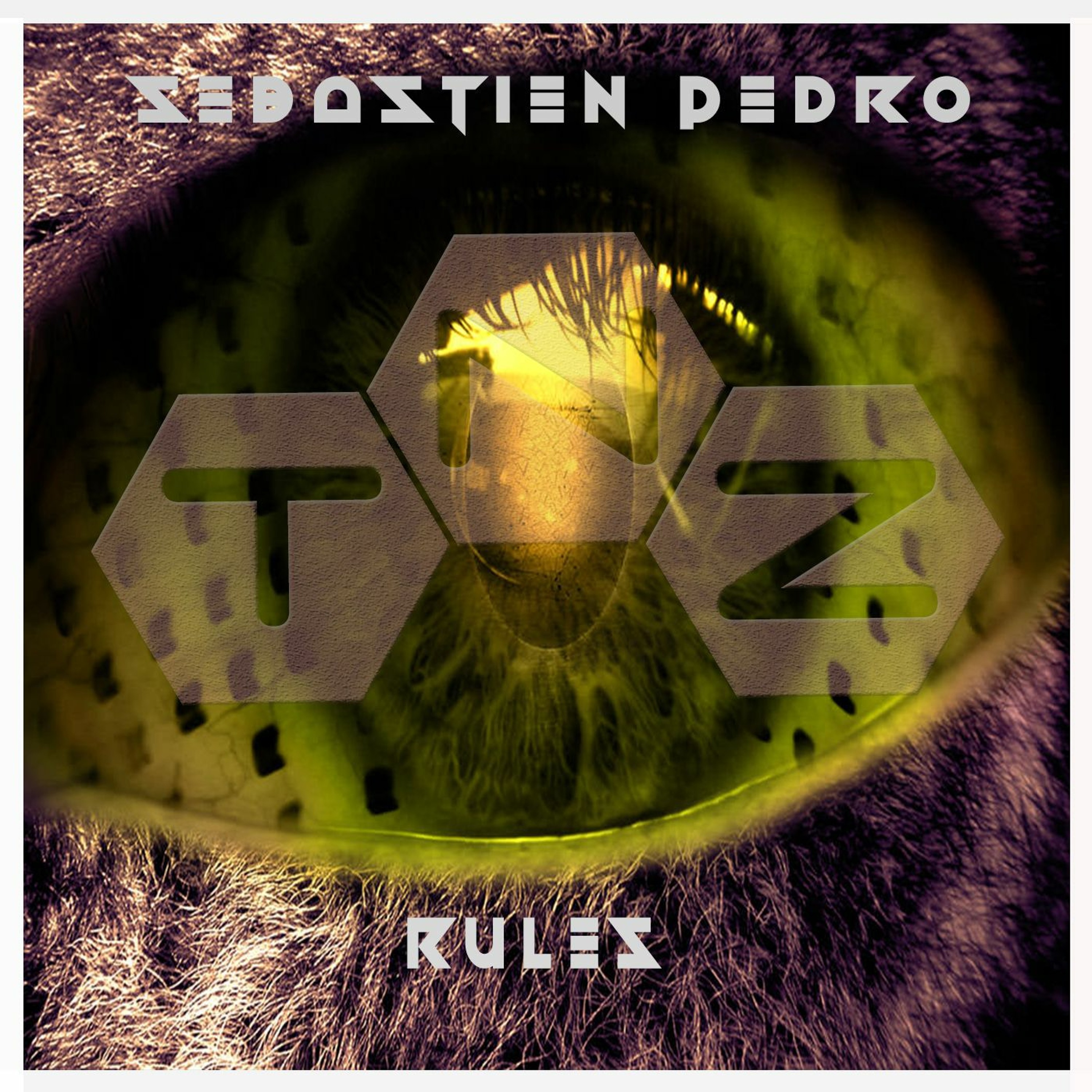 RULES (Original Mix) Sebastien Pedro episode artwork