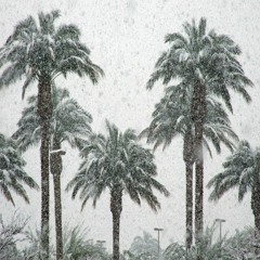 live a lie - BOBBY RAPS, BREEZY2FRESH, JACOB JULIUS (Prod. bobbyraps)