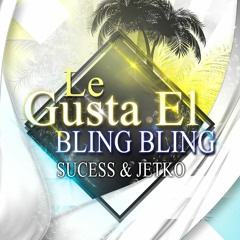 Le Gusta El Bling Bling "She Likes"