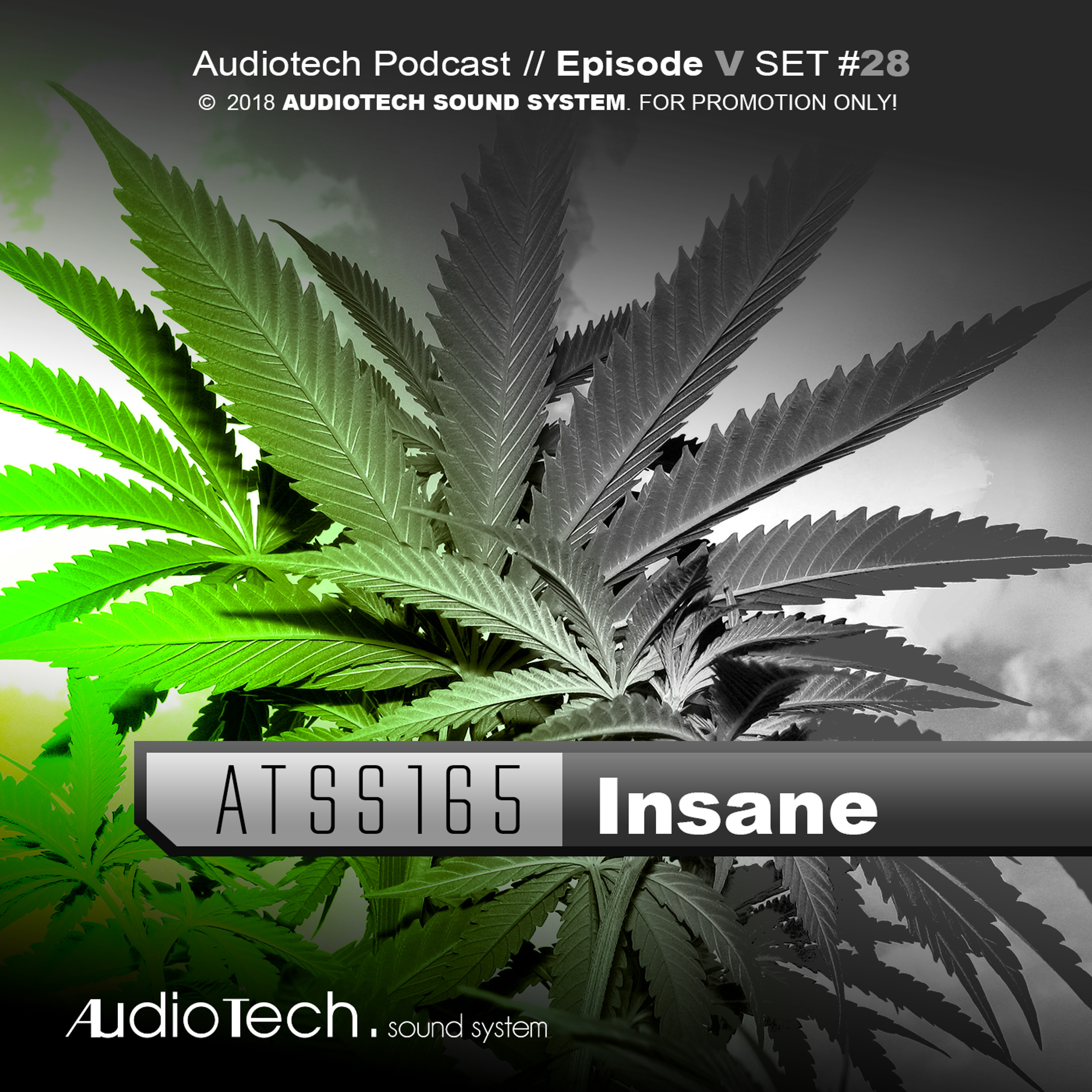 ATSS165 - Insane ► Hanfparade