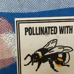 Modular Drum Machine Test IV