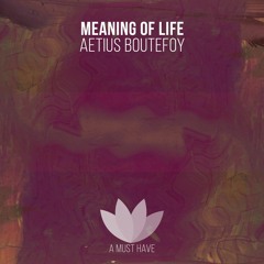 Aetius Boutefoy - Meaning Of Life (Original Mix) [out now!]