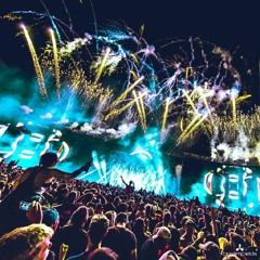 We Wanna Party Till We Die (Hales Mashup)