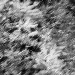 La mitad no visible (2017)