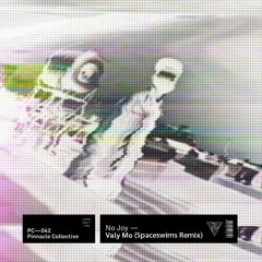 Valy Mo - No Joy (Spaceswims Remix)