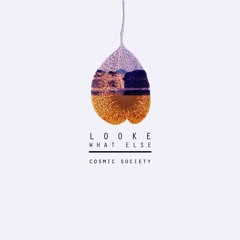 Looke - What Else (Lemmon Remix)