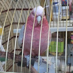 Modular Drum Machine Test V