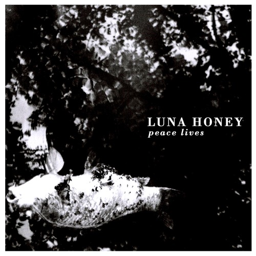 Luna Honey - Red & Black