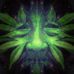 Don Juan Mezcal - Naturaleza Espiritual