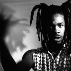 Busta Rhymes - Woo Hah (chentek remix)