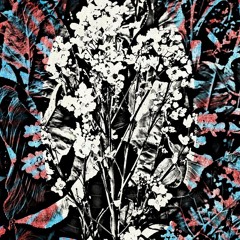 PH - Mārrutks