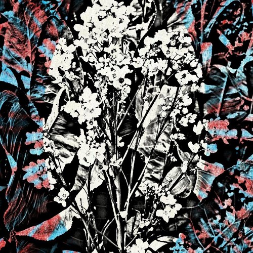 PH - Mārrutks
