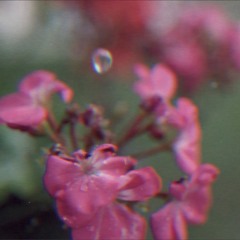 postcard troye sivan (pitched with rain)