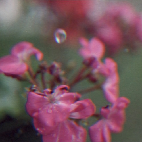 postcard troye sivan (pitched with rain)