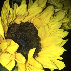 What I Need (Hayley Kiyoko + Kehlani cover)