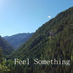 Feel Something