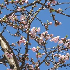 Green Shoes and a Black Tee