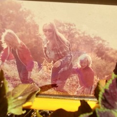 A Picture in a Frame - Mark Phelan