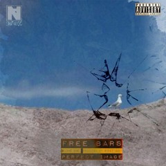 FREE BARS VOL 1 (Perfect Image)Prod. Sushi Mane