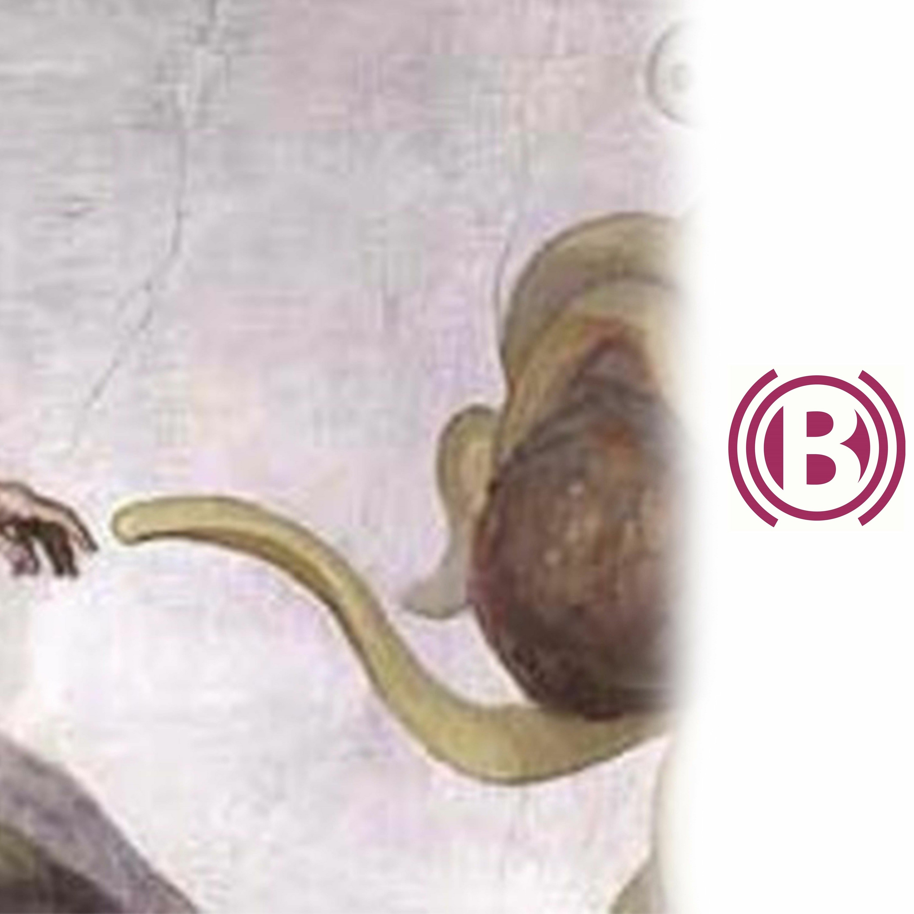 #101: Het vliegend spaghettimonster en de betekenis van religie