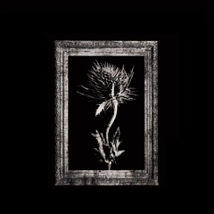 DRILL AREA - Last Love