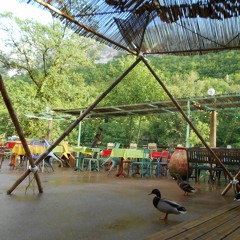 Do Bragile - (Toikatou)