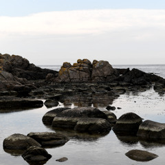 Meditation - Loven om tiltrækning