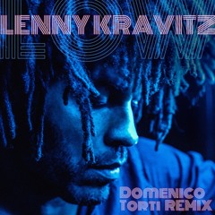 LENNY KRAVITZ Low (Domenico Torti Remix)