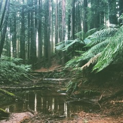 Eden promo mix - Sept 2018