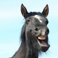 Brian - Horse demo tune