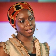 The Danger of a Single Story - Chimamanda Adichie