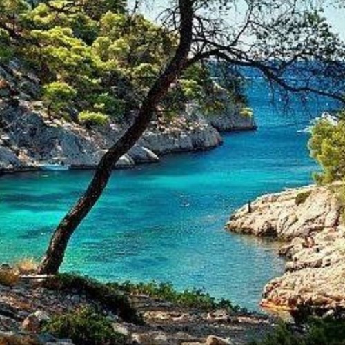 Copy of My own songs and musics