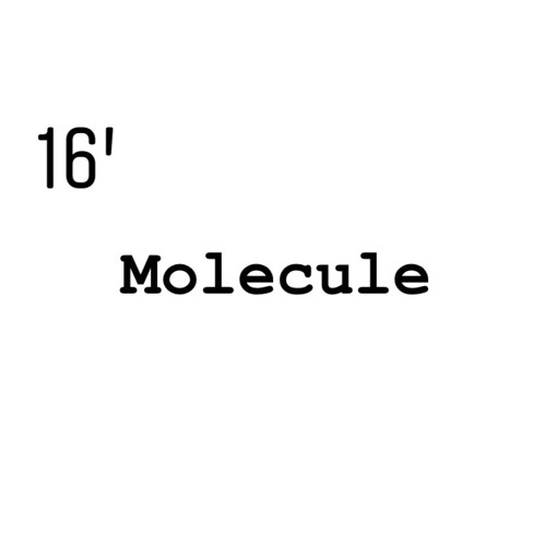 Molecule