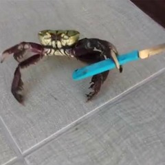 Mashups, songs, and sound clown I post to Discord Part 16