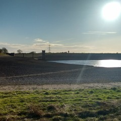 The Calm