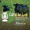 Beef Cattle Research Council webinar series