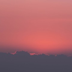 I Hope You Like Daisies (soundtrack)