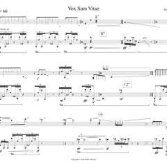 Vox Sum Vitae