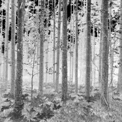 Adapt to prevailing stream and become able to see clearly