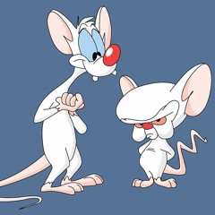 Pinky and the Brain بينكي وبرين