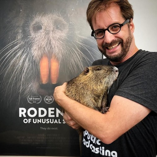 FILMMAKER JEFF SPRINGER talks RODENTS OF UNUSUAL SIZE on CELLULOID DREAMS THE MOVIE SHOW (9-3-18)